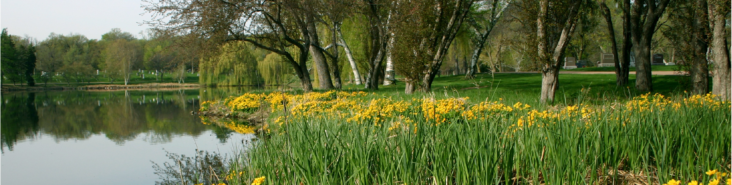 Flowers On Jo Pond