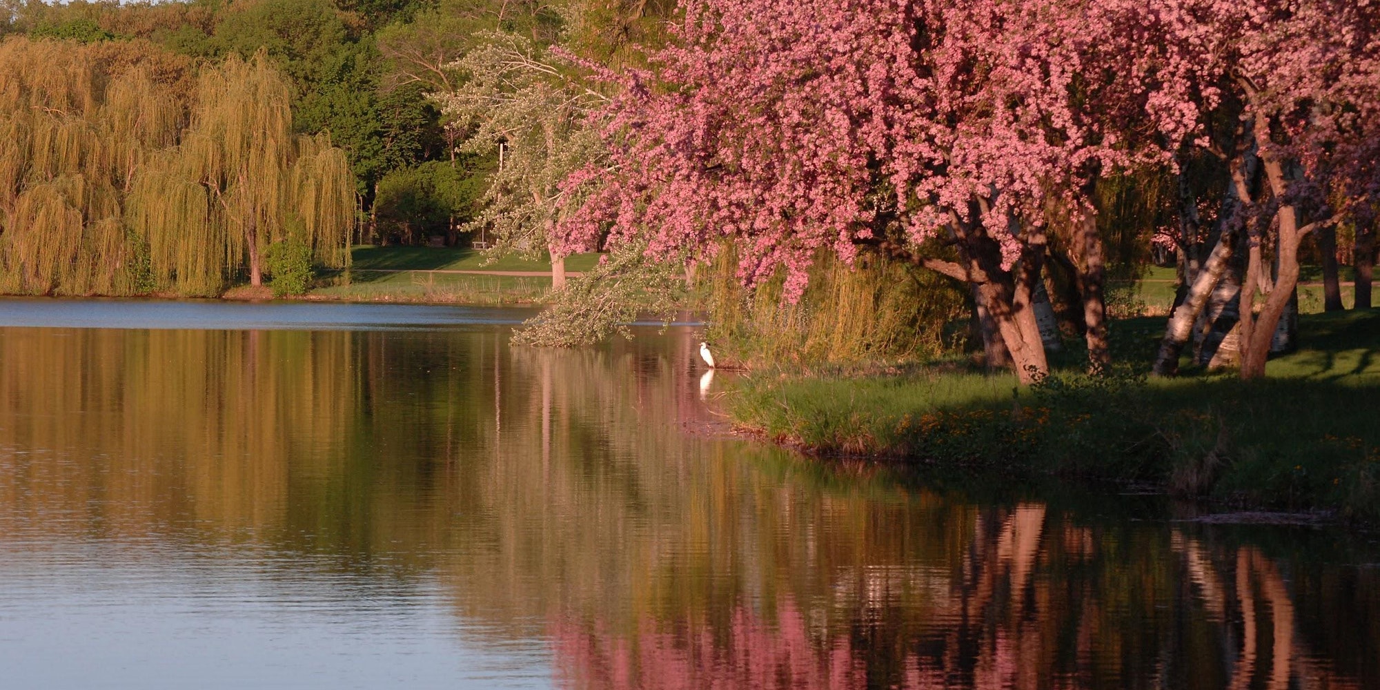 Events & Lakewood Cemetery