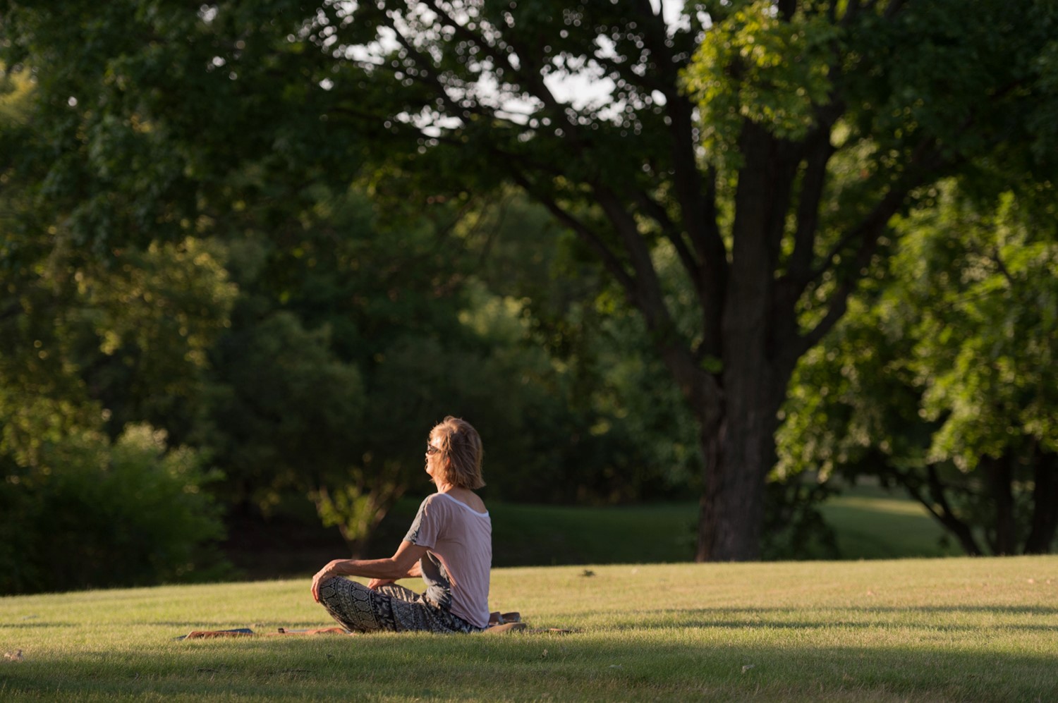 Person facing the sun, seated on the grass in a green, wooded area.