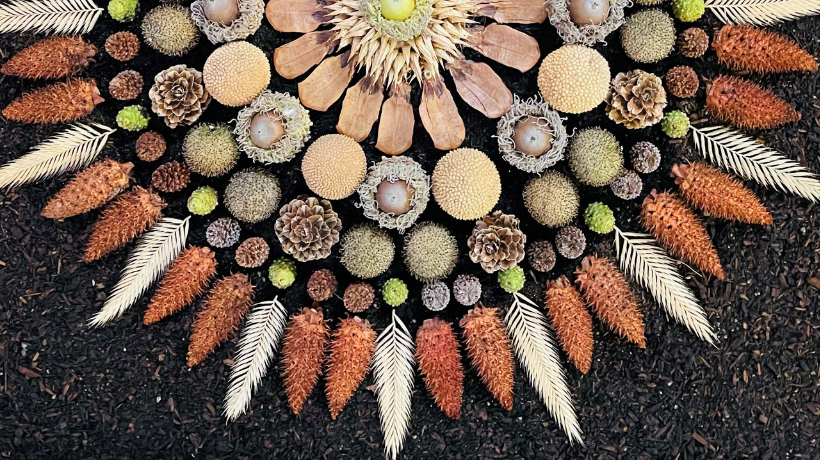 Morning Altars (PM)